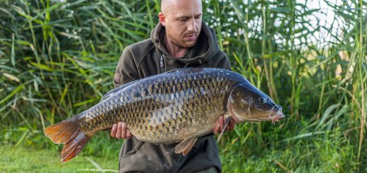 carphunterz, carphunterz.nl, karper, spiegelkarper, schubkarper, penvissen, vissen, michel kempers, simon verver